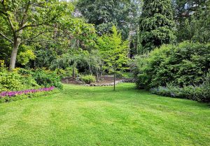 Optimiser l'expérience du jardin à Caulaincourt